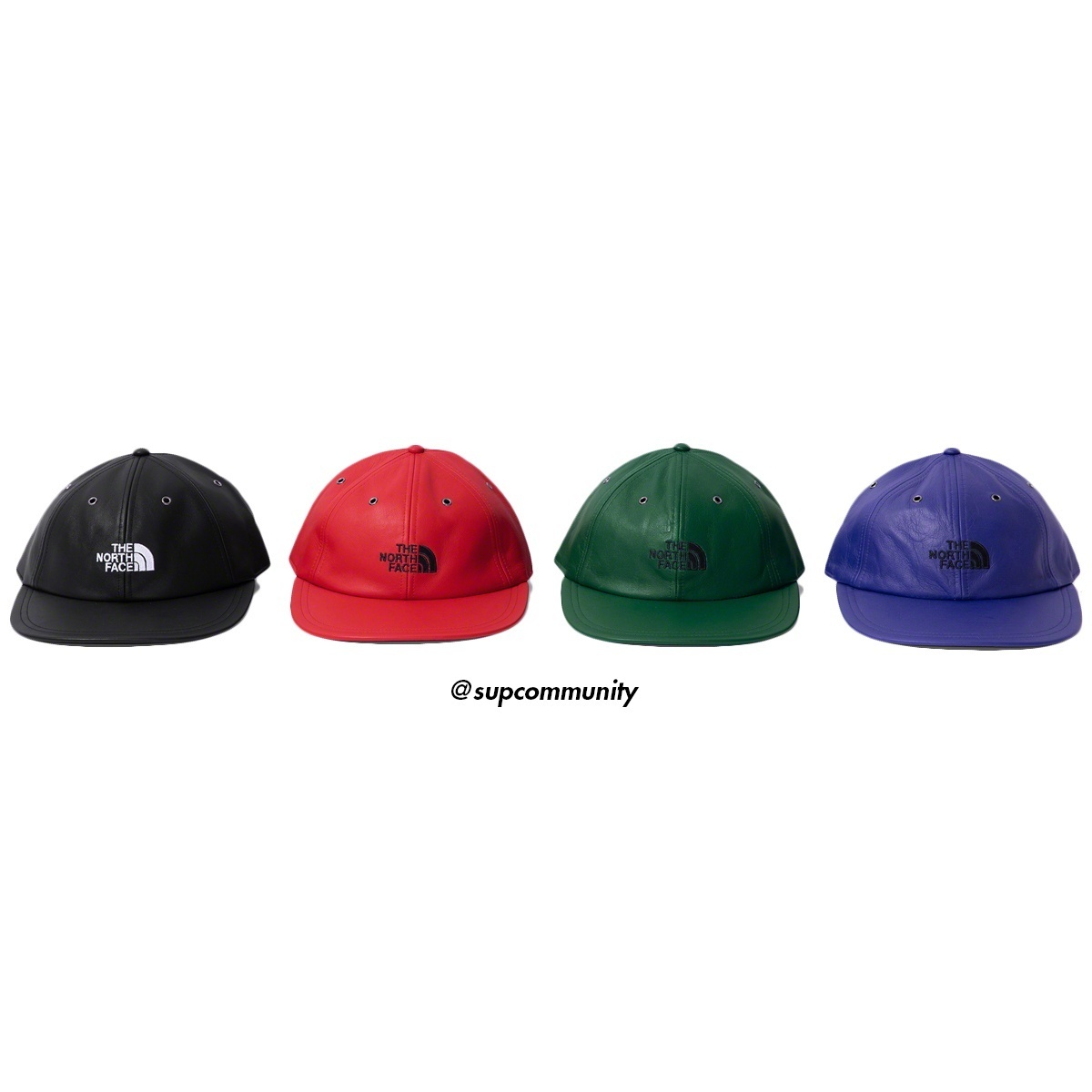 Supreme®/The North Face® Leather 6-Panel